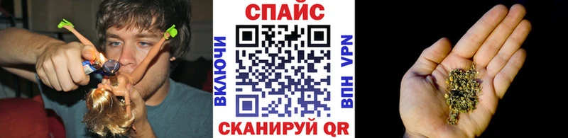 где купить   Вяземский  БУТИРАТ буратино 
