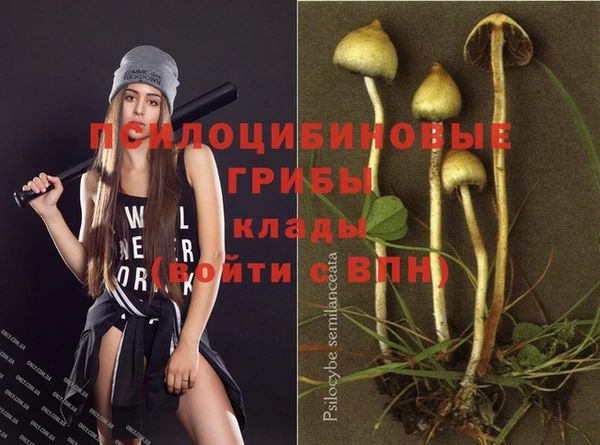 прущая мука Беломорск